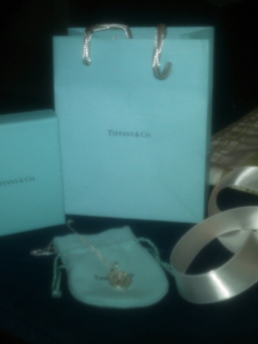 Tiffany & Co. Tiffany charm and necklace brought at Tiffany's in Tyson Corner Va